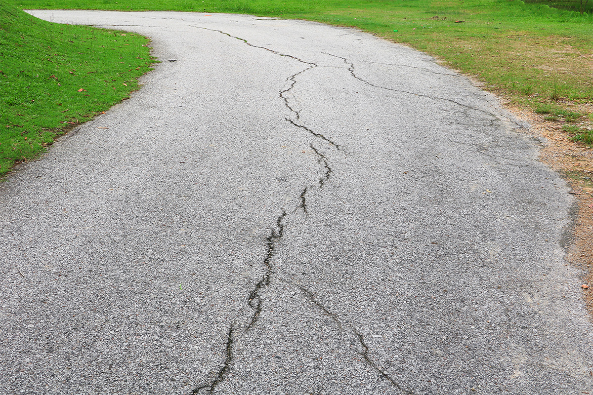 Read more about the article Common Pavement Problems