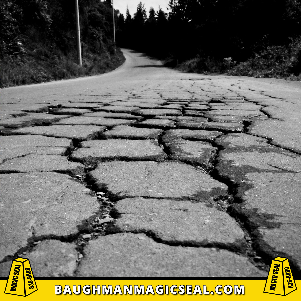 Read more about the article Cracks in your asphalt…