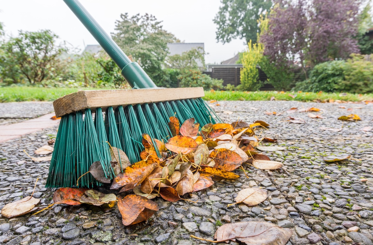 Read more about the article Summer Driveway Maintenance Routine