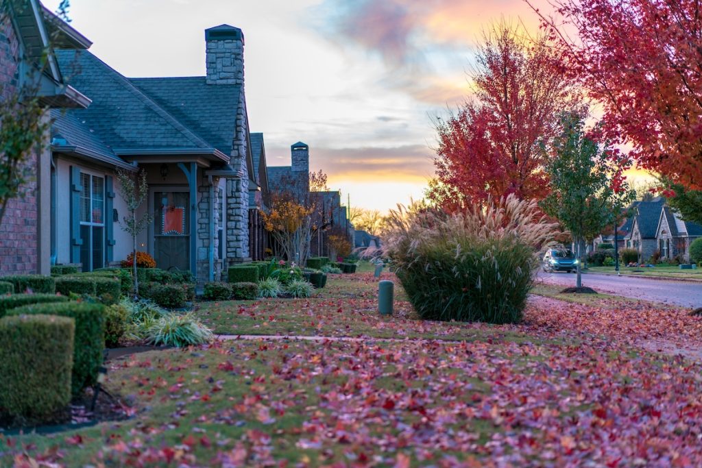 Keeping Your Driveway Life-Free