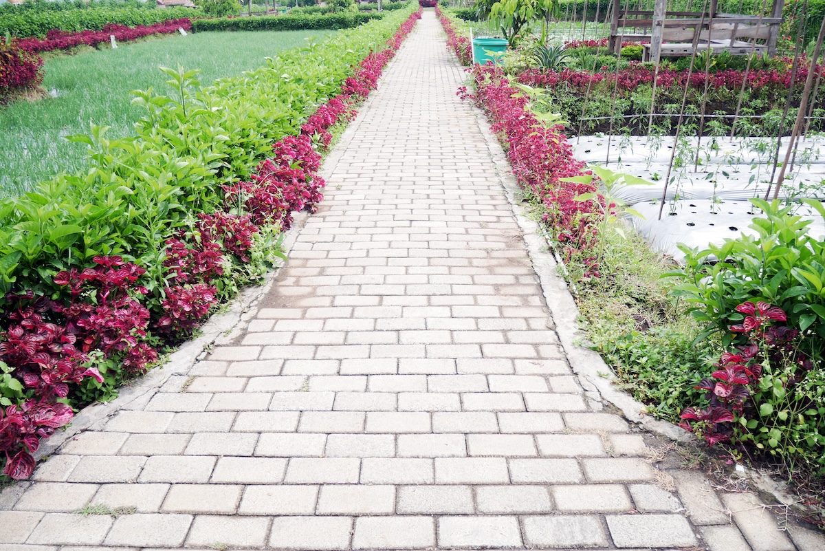 Read more about the article Eco-Friendly Driveway Solutions to Consider This March