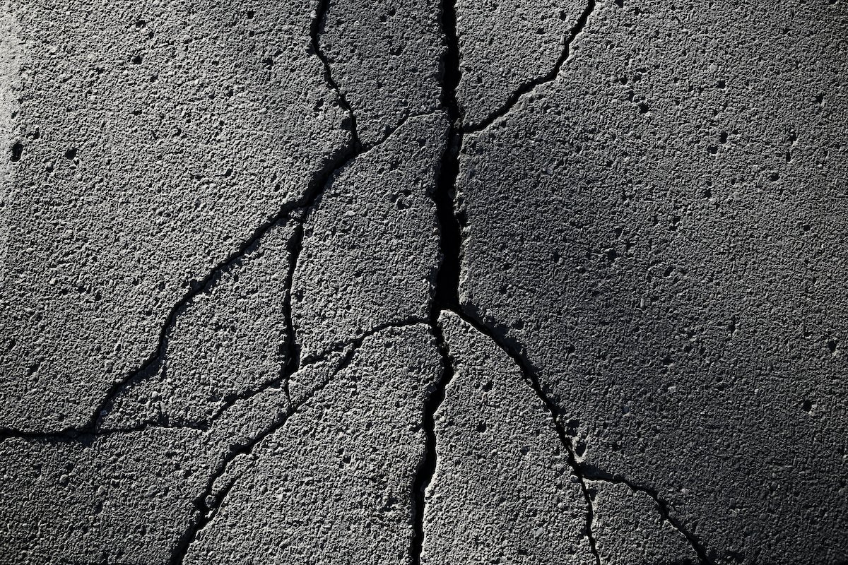 Read more about the article How to Fix Driveway Cracks and Keep Your Pets Safe
