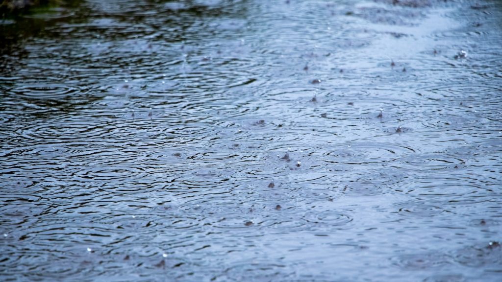 How to Keep Your Driveway Clean and Safe During August Storms