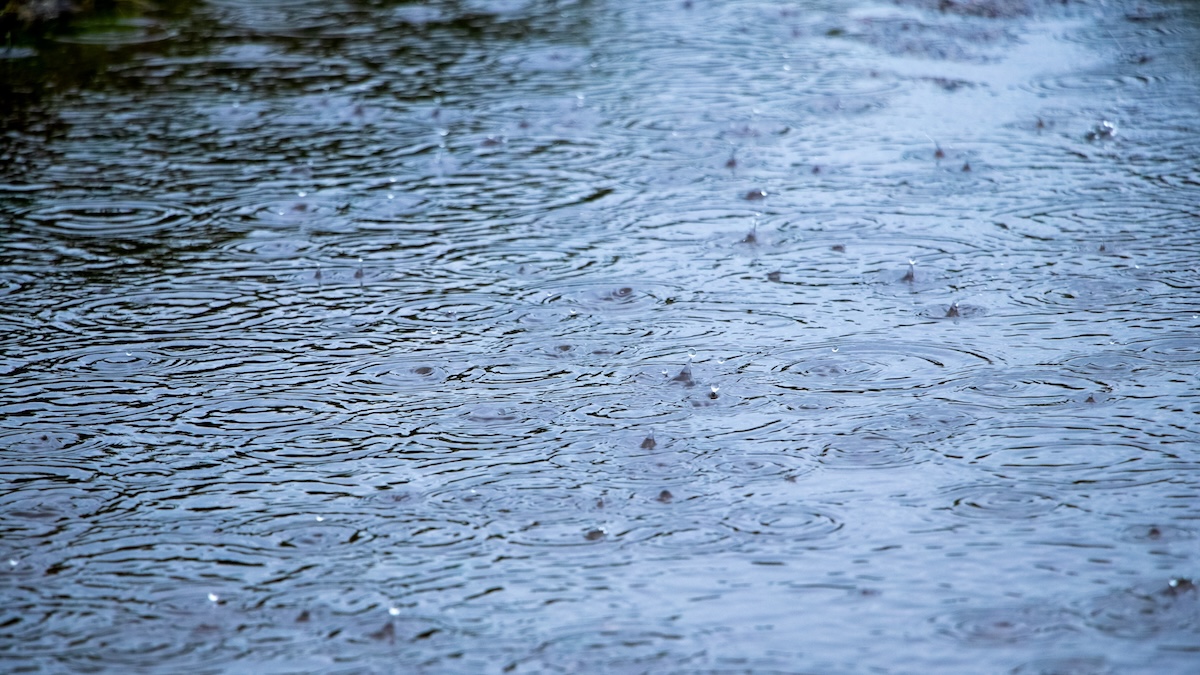 Read more about the article How to Keep Your Driveway Clean and Safe During August Storms