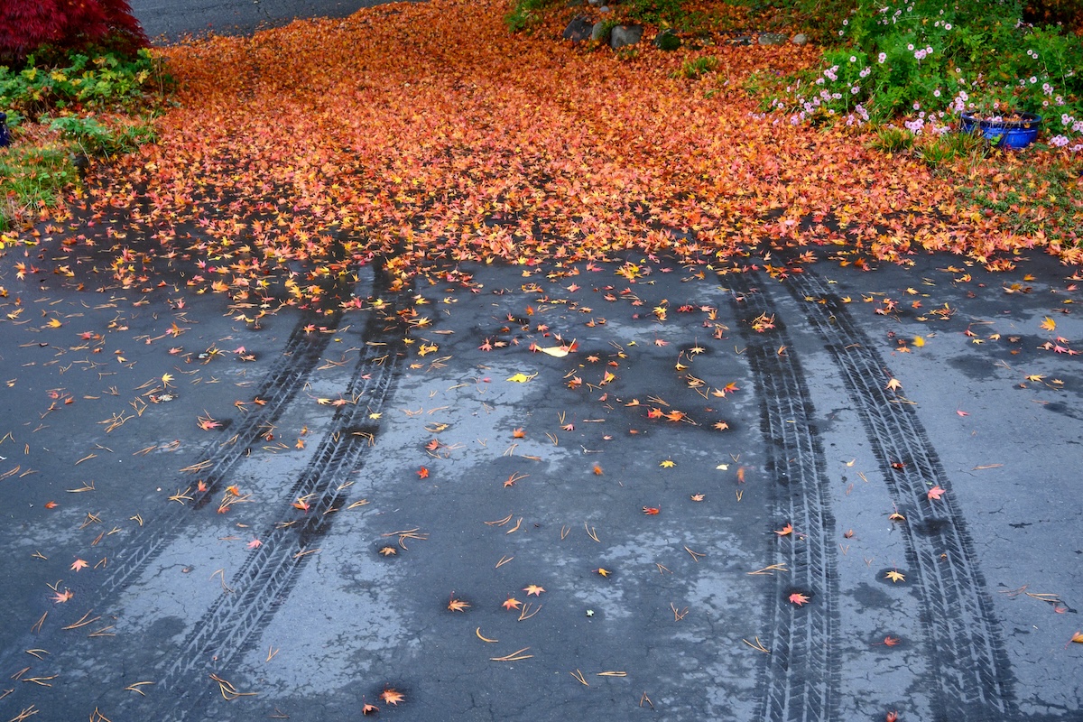 Read more about the article How to Prevent Driveway Damage from Falling Leaves